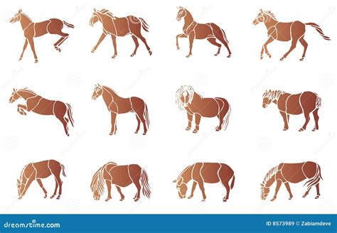 Horse Vector Collection Stock Vector Illustration Of Farm 8573989