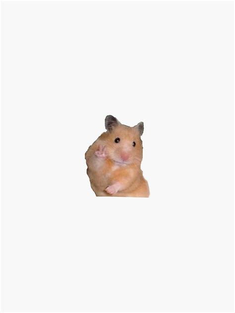 Small Peace Hamster Meme Sticker By Telesmorgan Meme Stickers