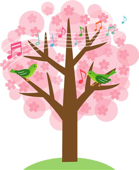 Cherry Blossoms And Japanese Bush Warbler Clipart Free Download