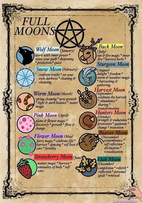 𝘤𝘰𝘴𝘮𝘪𝘤𝘨𝘰𝘵𝘩 ♡ ⋮ 𝘪𝘨 𝘣𝘳𝘢𝘯𝘥𝘺𝘳𝘵𝘰𝘳𝘳𝘦𝘴 Witch Spell Book Wiccan Magic Book Of Shadows