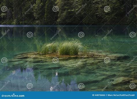 Pure Clear Water Lake Stock Photo Image Of Green Nature 44876666