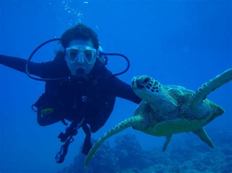 First Time Scuba Diving Hawaii Beginner