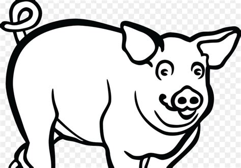 Semua sumber babi ini untuk diunduh. 76 Gambar Babi Hutan Hitam Putih HD - Infobaru