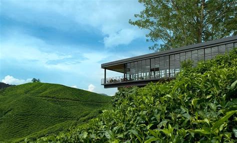 The tea centre up the hill is definitely one of the must visit attractions when you are in cameron highlands. Boh's Tea Centre (Cameron Highlands) - 2020 All You Need ...