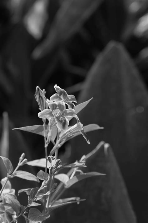 Exploring Secret Garden Rooftop One Utama — Capture by Azfa