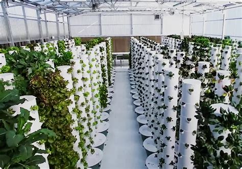 A Step By Step Guide To Building Your Own Aeroponic Tower Garden