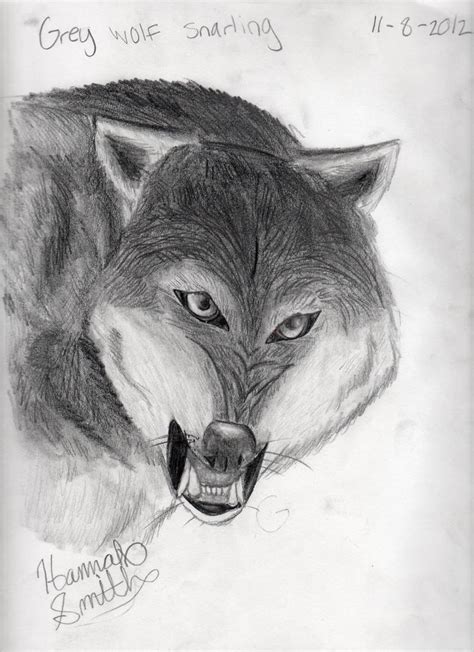 Snarling Wolf Sketch By Hannahtheartistic On Deviantart
