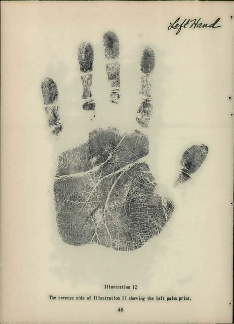 Value Of Palm Prints And Method Of Taking 1940 Research Forensic