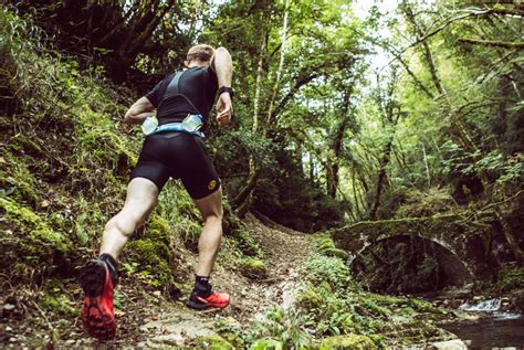 Consejos Para Un Entrenamiento Trail Running Pulso Runner