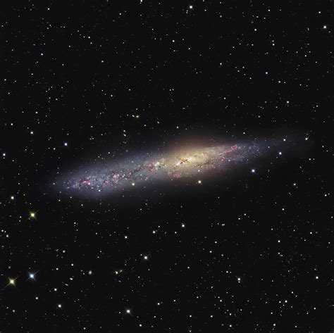 Apod 2009 August 12 Irregular Galaxy Ngc 55
