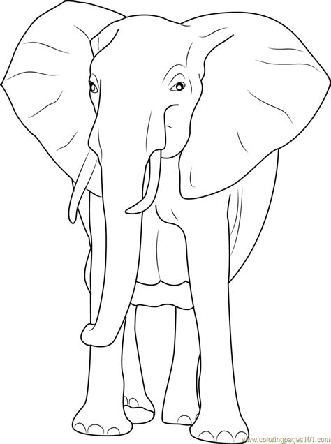 African Bush Elephant Coloring Page For Kids Free Elephant Printable