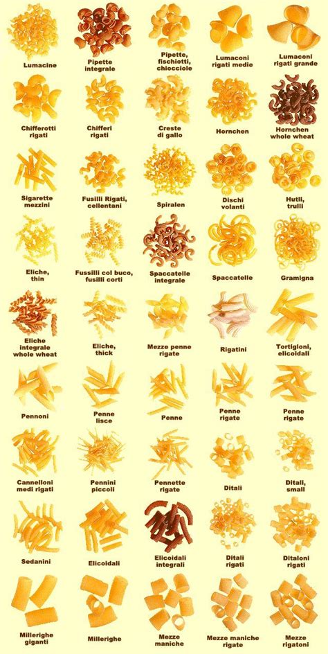 Different Types Of Pasta Noodles Garganelli