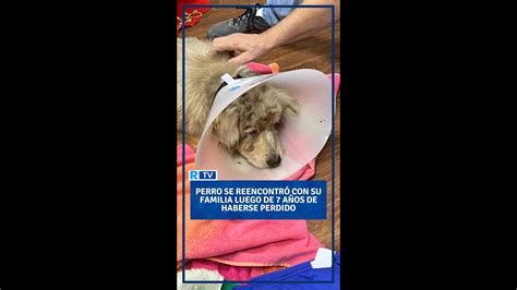 Perro se reencontró con su familia luego de 7 años de haberse perdido