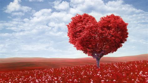 Wallpaper Pohon Pemandangan Cinta Jantung Merah Langit Bidang