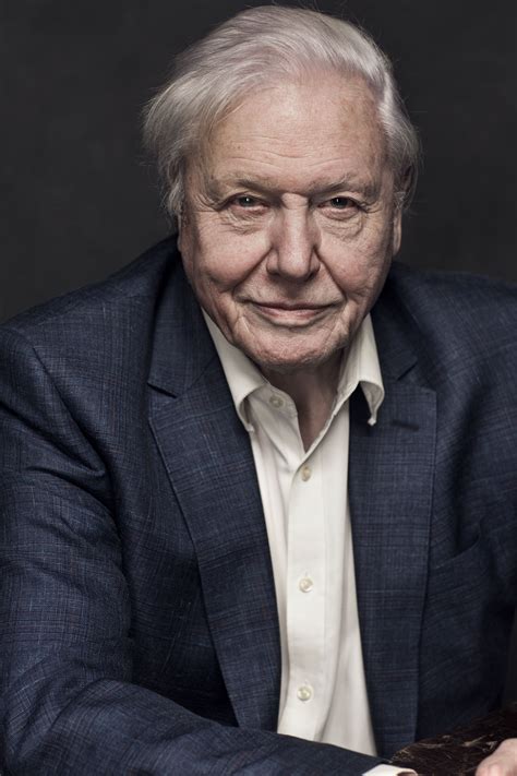 Sir David Attenborough At 90 Fivelightsdown