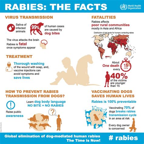 Rabies Info Sihat Bahagian Pendidikan Kesihatan Kemen Vrogue Co