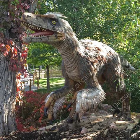 Utahraptor's claim to fame is that it was by far the biggest raptor ever to walk the earth; prod-dino-utahraptor-810×810 - Billings Productions