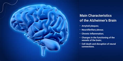 How Alzheimers Disease Affect On The Brain
