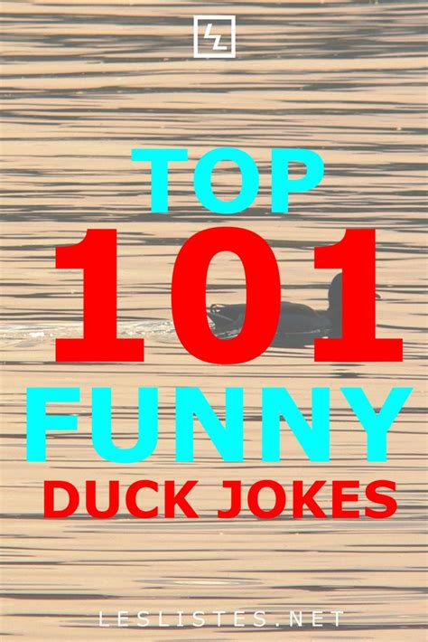 Top 101 Funny Duck Jokes That Will Make You Quack Up Les Listes