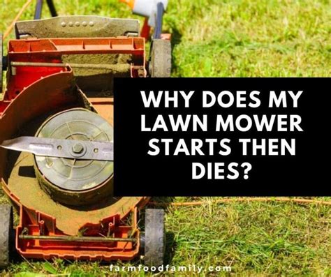 Why Does My Lawn Mower Starts Then Dies And How To Fix