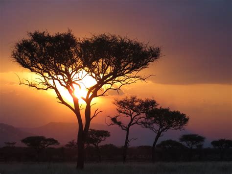 Sunset On The Serengeti Smithsonian Photo Contest Smithsonian Magazine