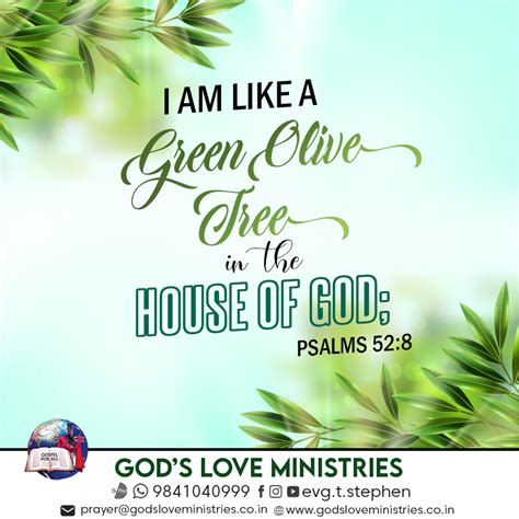 Psalm 528 Gods Love Ministries Todays Promise