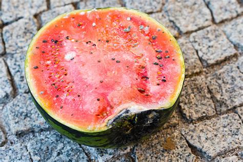 Rotten Watermelon Stock Photos Pictures And Royalty Free Images Istock