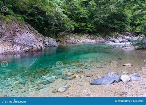Turquoise Blue Waters Of River In The Forest Stock Image Image Of