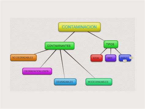 La Contaminacion Mapa Conceptual De La Contaminacion