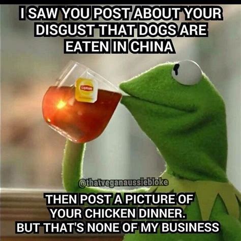 60 Funniest Kermit Memes Meme Central 2023