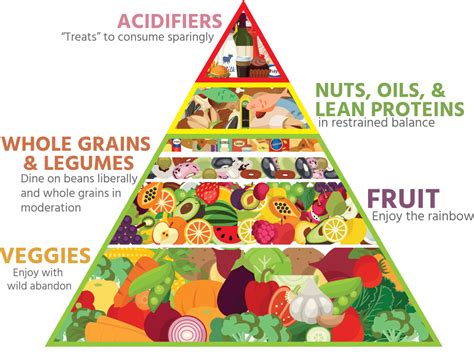 Mediterranean Diet Pyramid A Cultural Model For Healthy Eating Vários