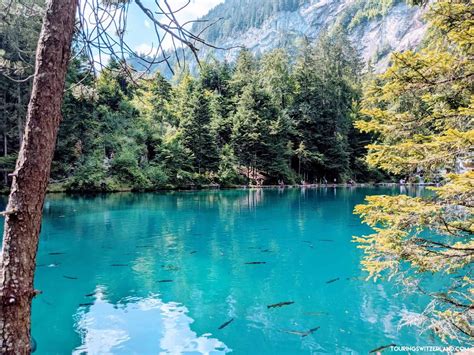 How To Get To Blausee Lake From Interlaken Touring Switzerland