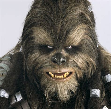 Mas De 1000 Imagens Sobre Wookie No Pinterest Ternos Obras De Arte