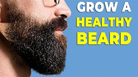 beard grooming 101 how to grow and groom a healthy beard alex costa youtube