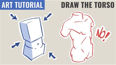 How To Draw The Torso Simplify Anatomy Youtube