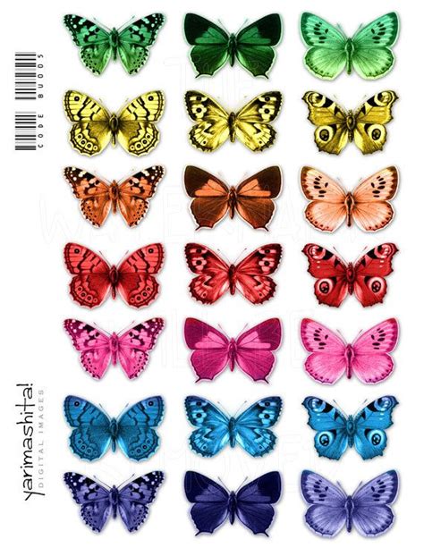 Rainbow Butterfly Images Digital Collage Sheets By Yarimashita