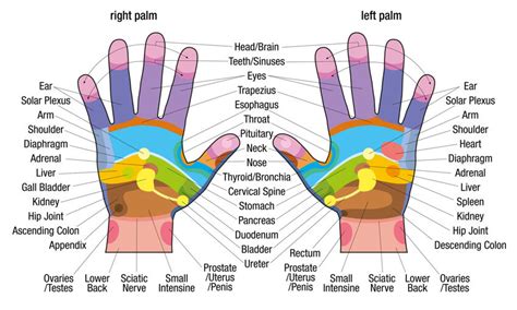 6 Powerful Hand Acupressure Points That Can Heal Ailments