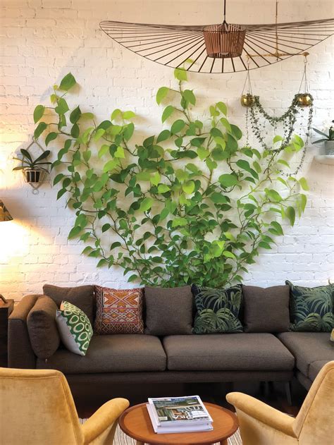 Diy These Vertical Vines For A Living Wall Type Look Ivy Plant Indoor