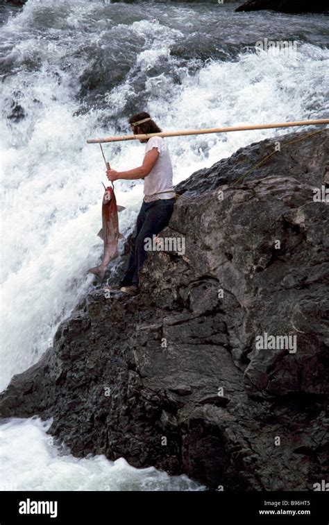 A Native Indian Fisherman Fishing For Salmon With A Gaff In The Bulkley