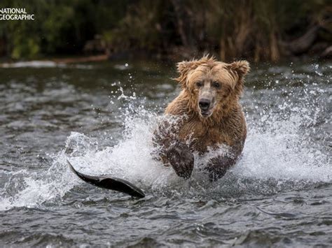 See Breathtaking Photos From Nat Geos Nature Photographer