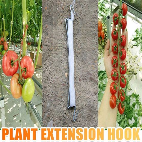 Tomato Support J Hooks Plant Climbing Hook Iron Plant