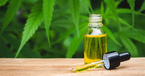 Cannabidiol (cbd) is an oil derived from the cannabis plant. CBD oil: Risks and recent research | Nebraska Medicine ...