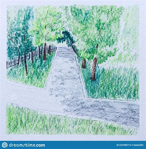 Sketch Of Path In The Park Stock Photo Image Of Forest 237496714