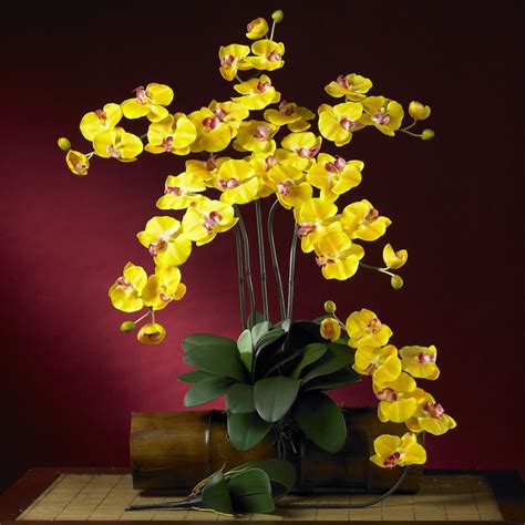 Phalaenopsis Silk Orchid Flower Wleaves 6 Stems