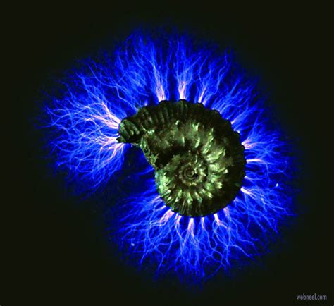 20 Best Kirlian Photography Examples And Techniques For Beginners