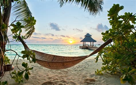 Wallpaper Tropics Paradise Beach Palm Sea Ocean Sunshine Summer