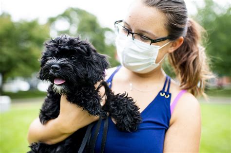 New owners brace for post-pandemic pet withdrawal