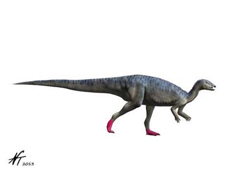 Elrhazosaurus Pictures And Facts The Dinosaur Database