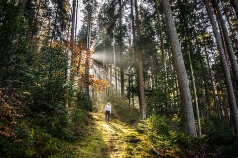 The 10 Best Hikes In The Northern Black Forest