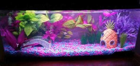 Fish species in the comments. Wow! 10 Cool Aquarium Decoration Ideas & How To Copy Them 2020
